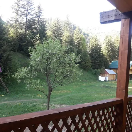 у ані номер 4 Appartement Synevyrsʼka Polyana