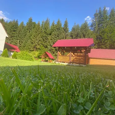 Appartement у ані номер 4 Synevyrsʼka Polyana