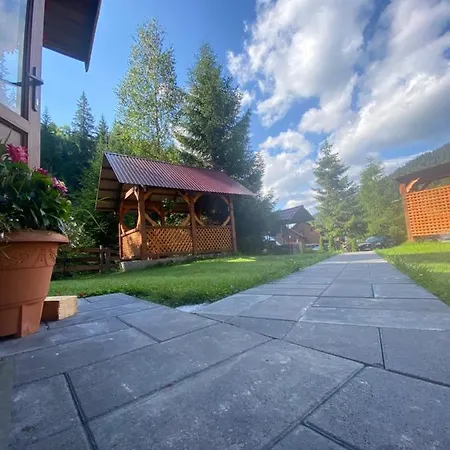 у ані номер 4 Synevyrsʼka Polyana